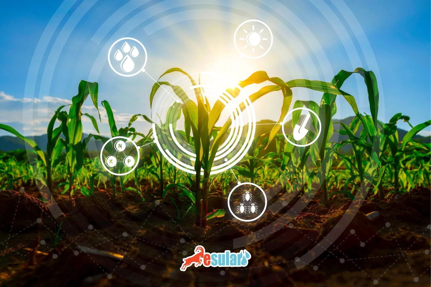 Automatic Irrigation Systems Prices and List