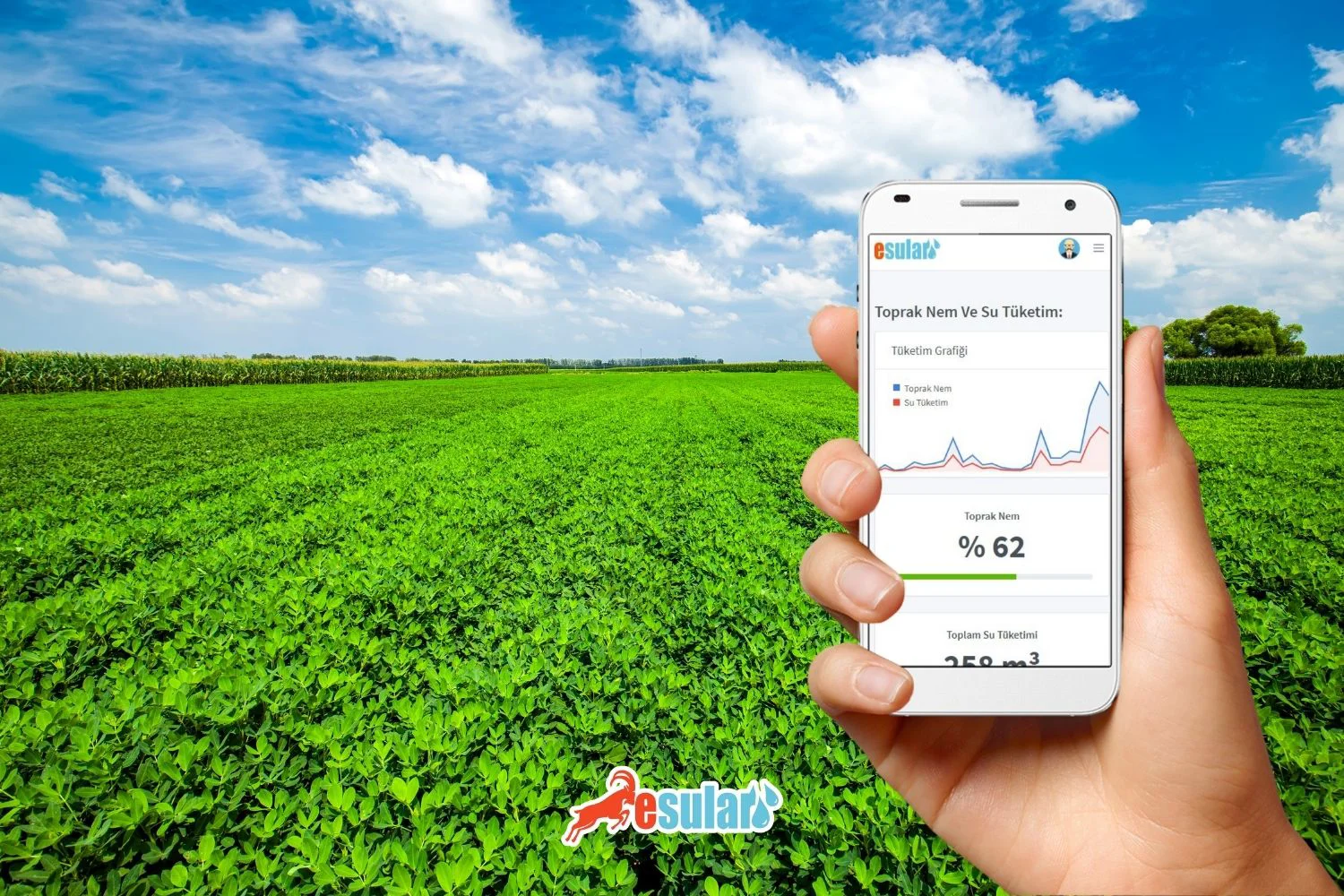 Smart Irrigation in Peanut Cultivation