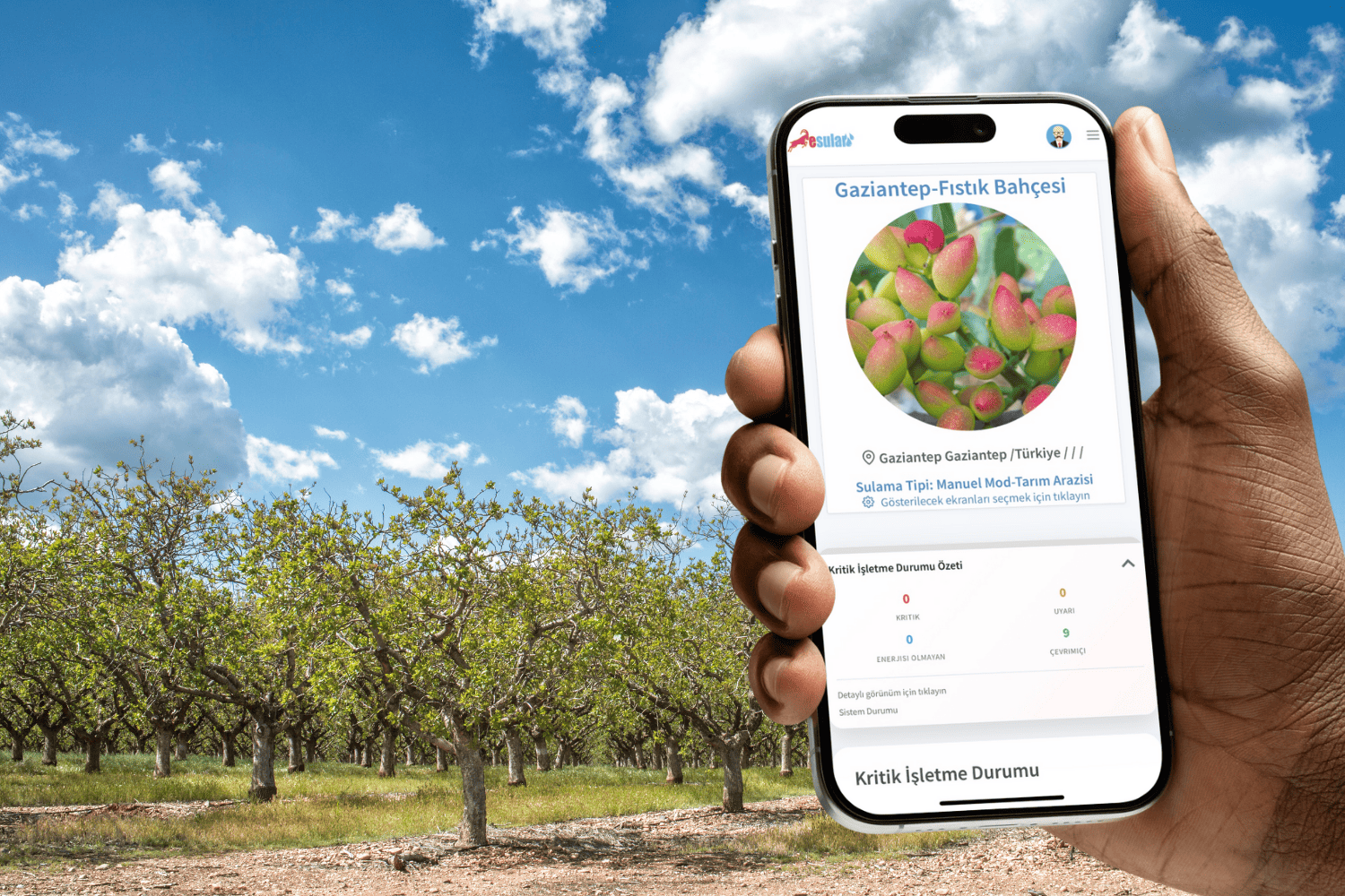 Smart Irrigation in Pistachios: Productivity Increase with Sensor-Aided Digital Solutions