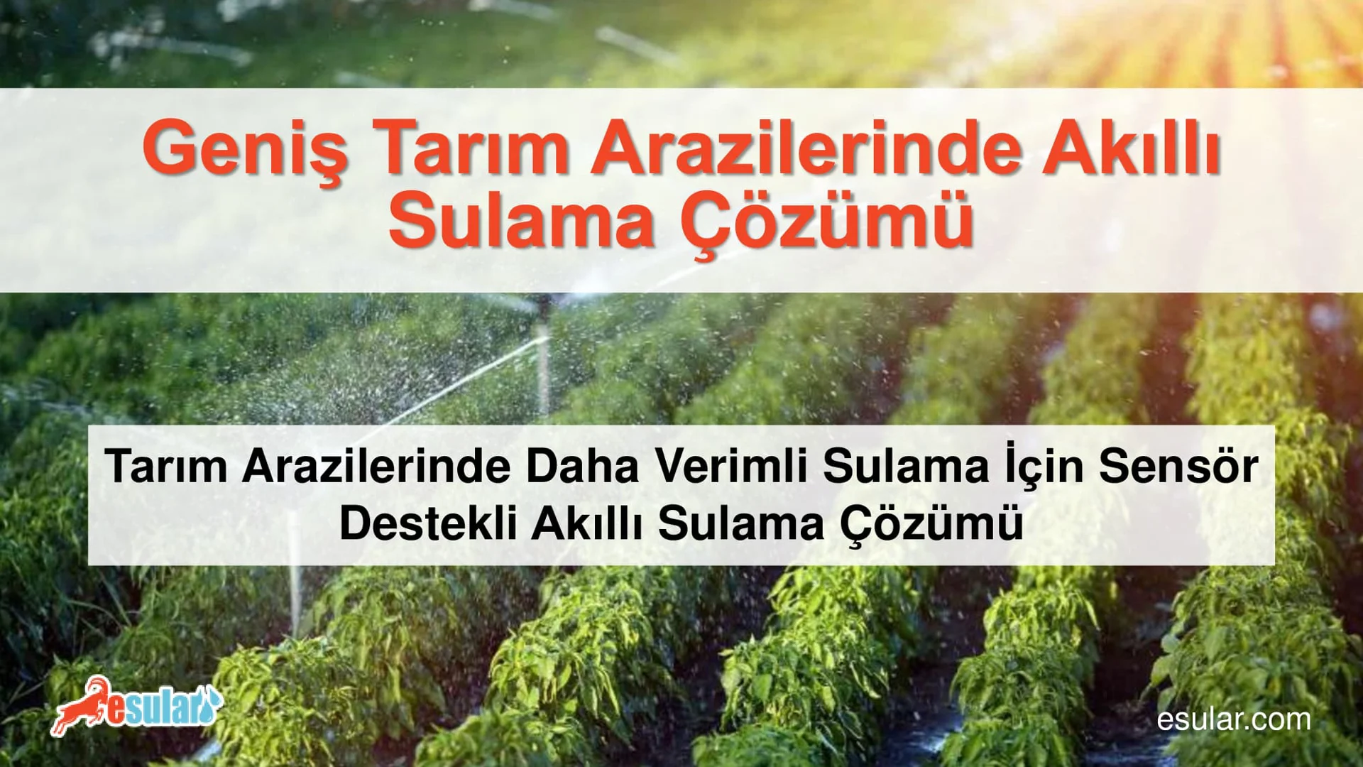 Smart Irrigation Systems in Large Agricultural Lands