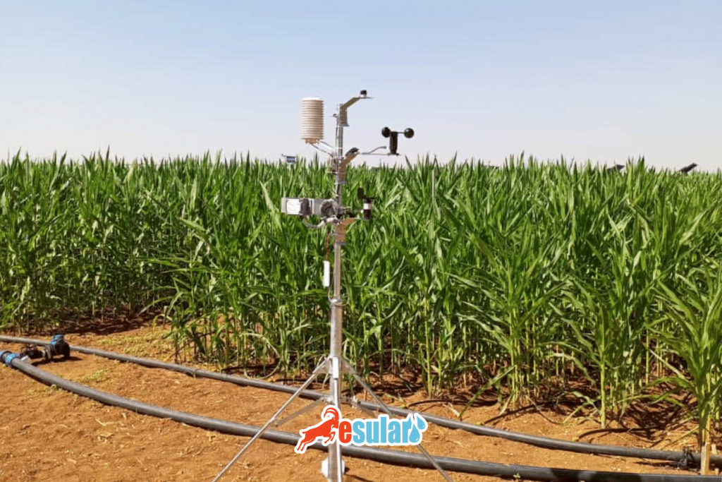What Are Smart Irrigation Technologies And Systems?