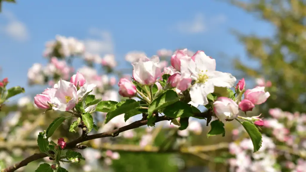 soguklamanin-avantajlari
