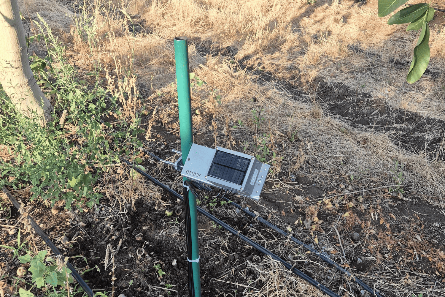 Are You Still Irrigating in the Old-Fashioned Way? Smart Irrigation Guide with Soil Moisture Sensor
