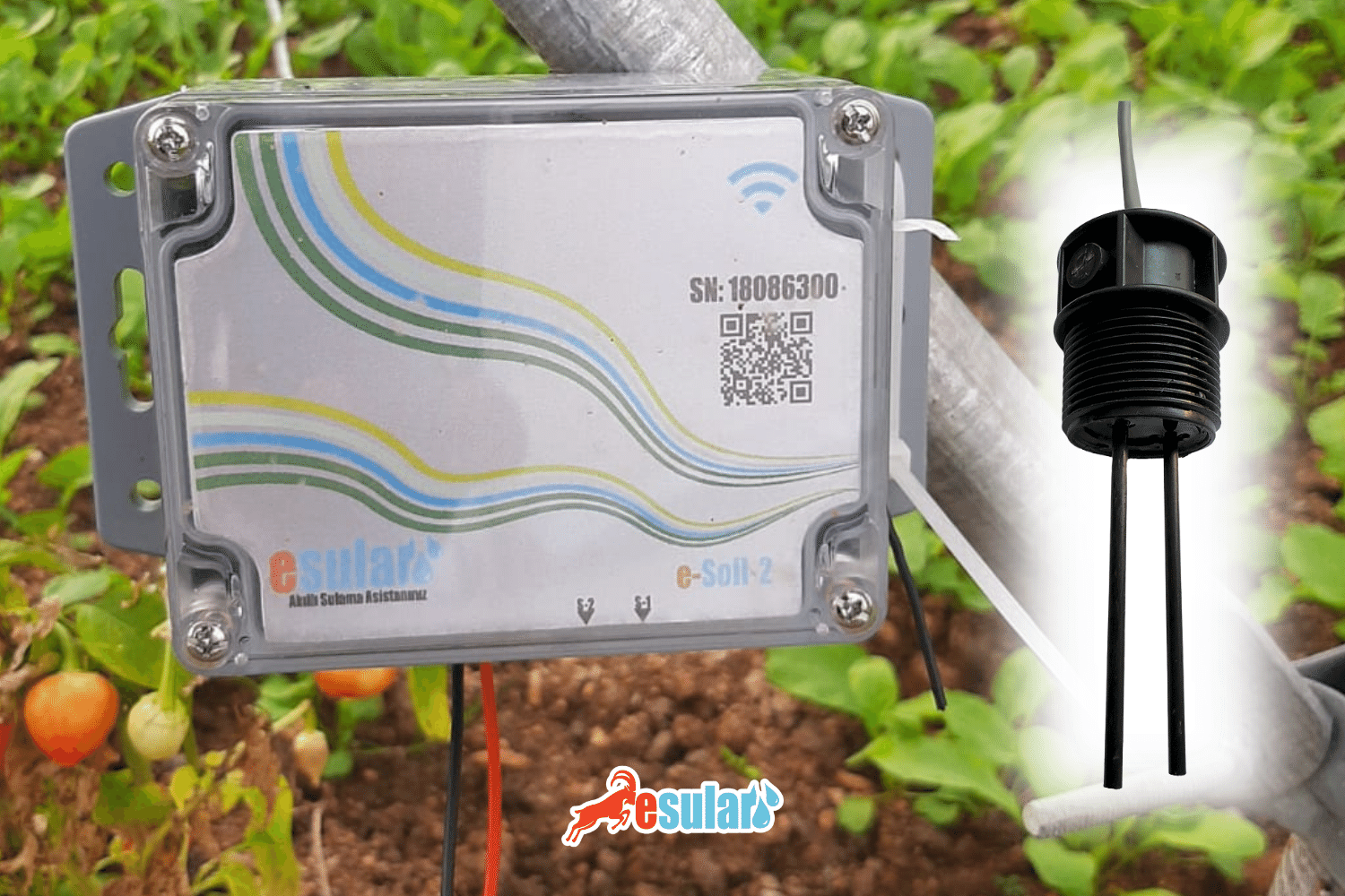 How Does a Soil Moisture Sensors Work?