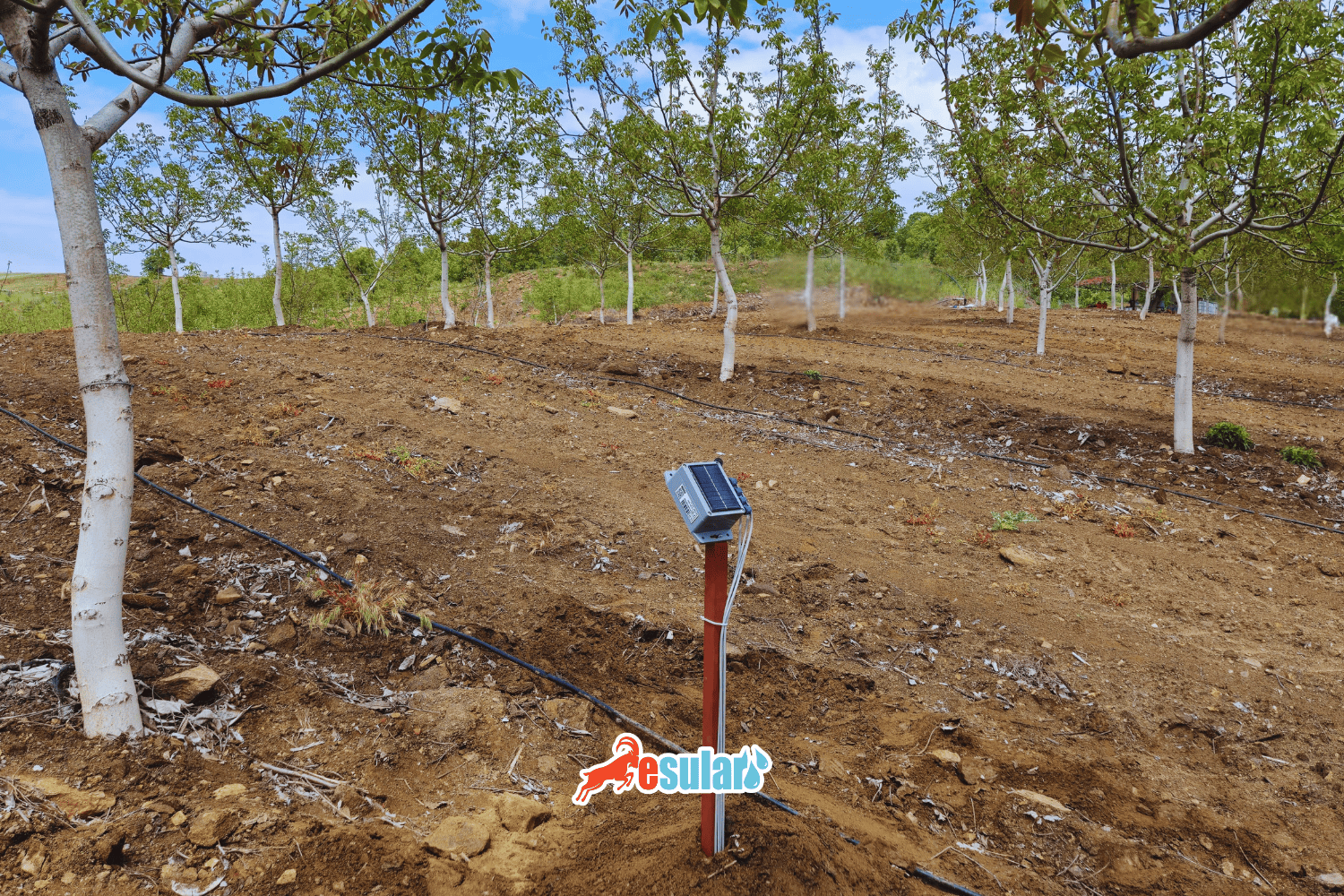 Soil Moisture, Water Movement and Measurement Methods