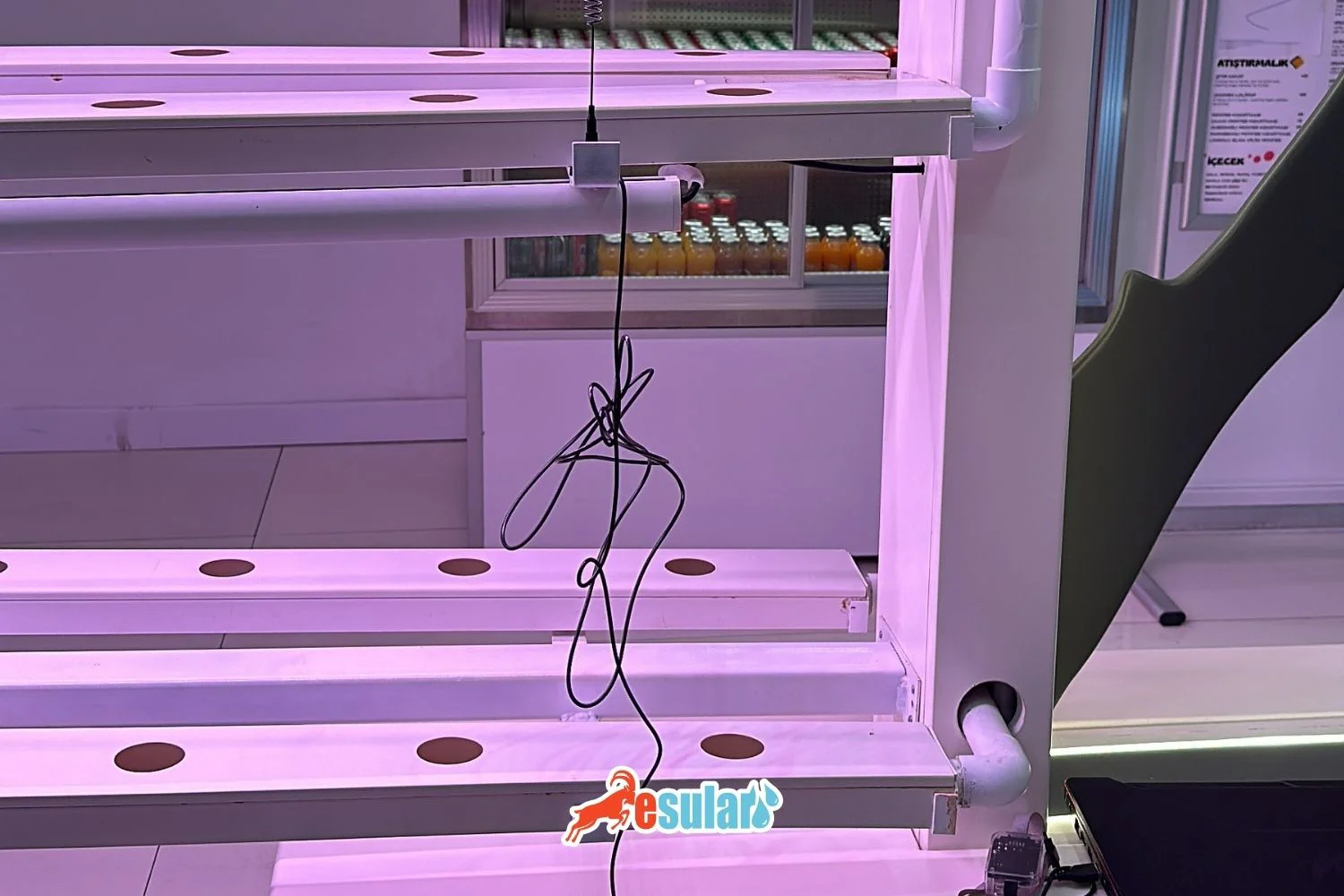 pH Automation in Aquaponic and Hydroponic Systems: Esular Solutions