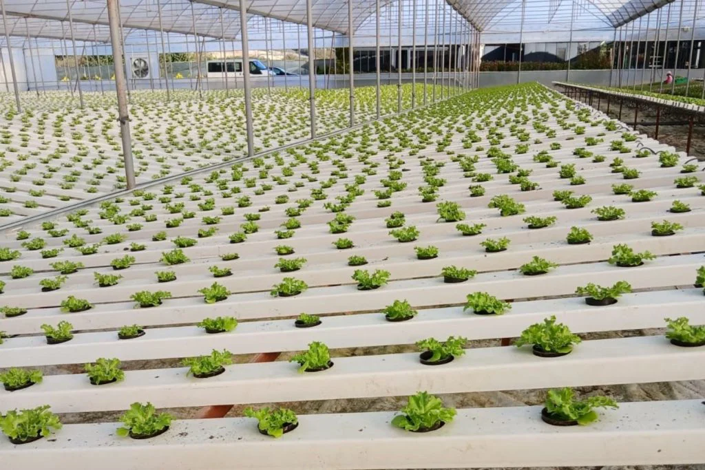 Esular Smart Greenhouse Systems