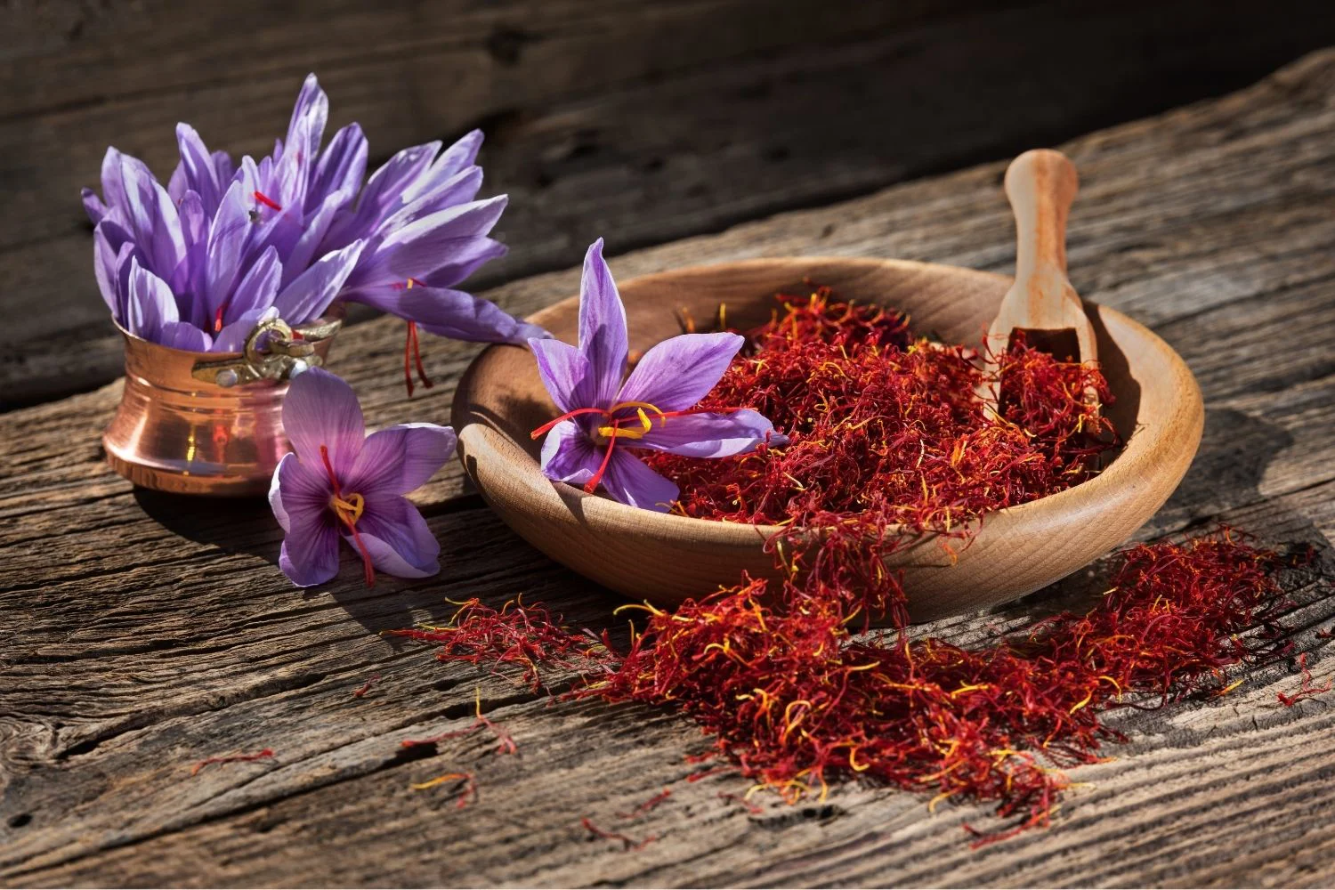 Soilless Saffron Cultivation