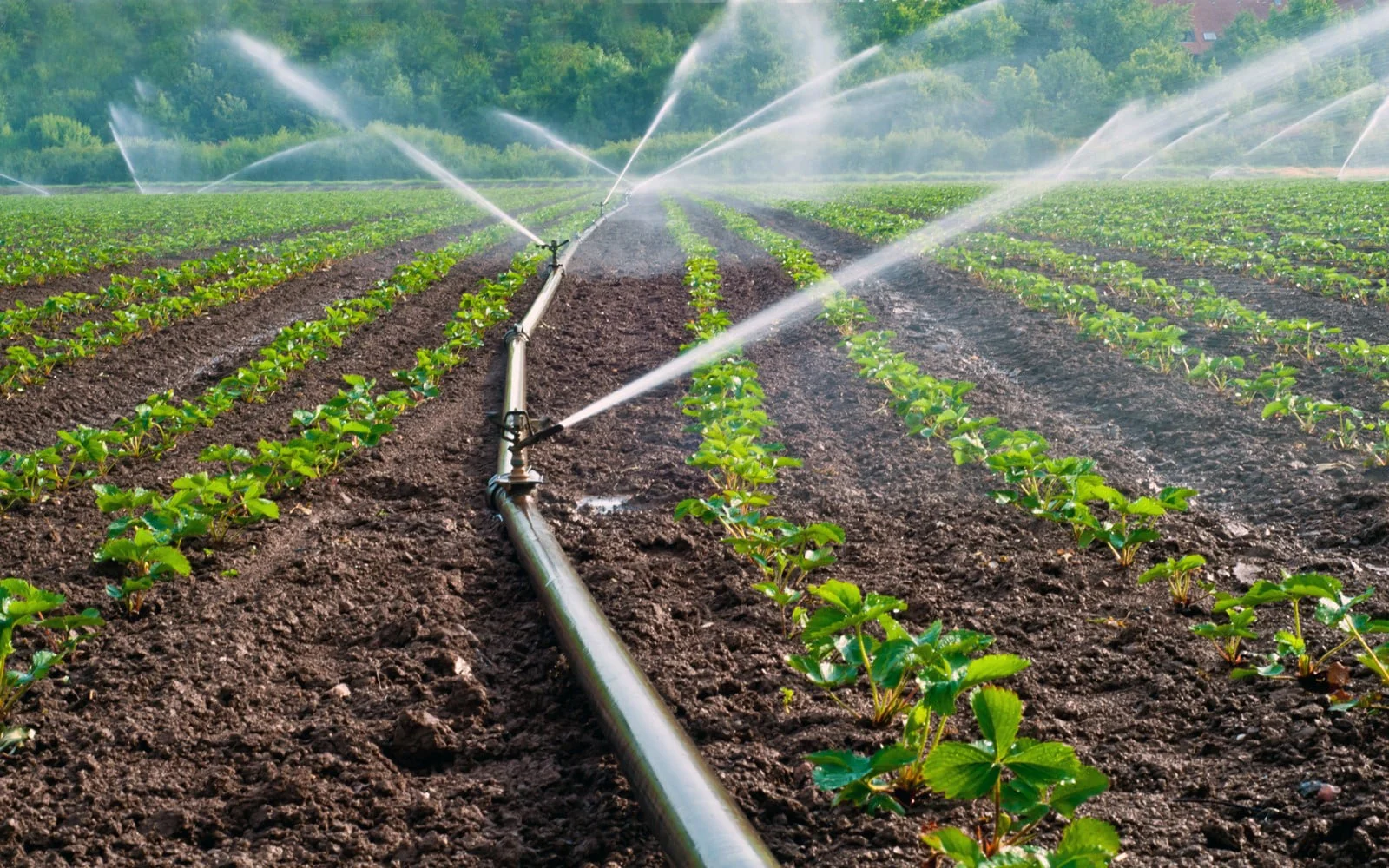 Sprinkler Irrigation Systems