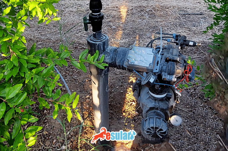 Sulama-asistanı-esuların-avantajları