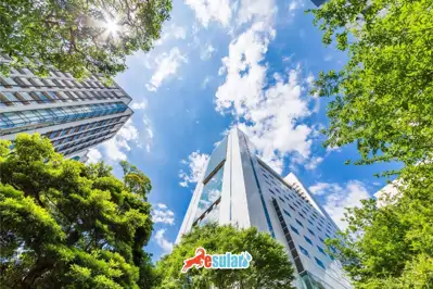 Sünger Şehir Nedir?