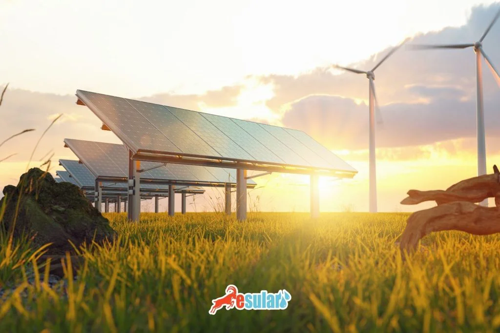 surdurulebilir-tarim