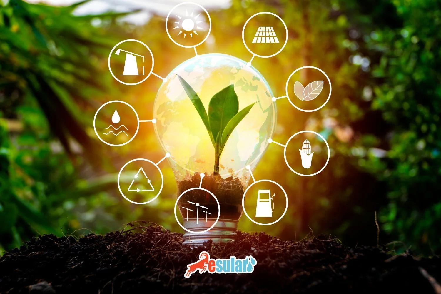 Sustainable Agriculture Practices