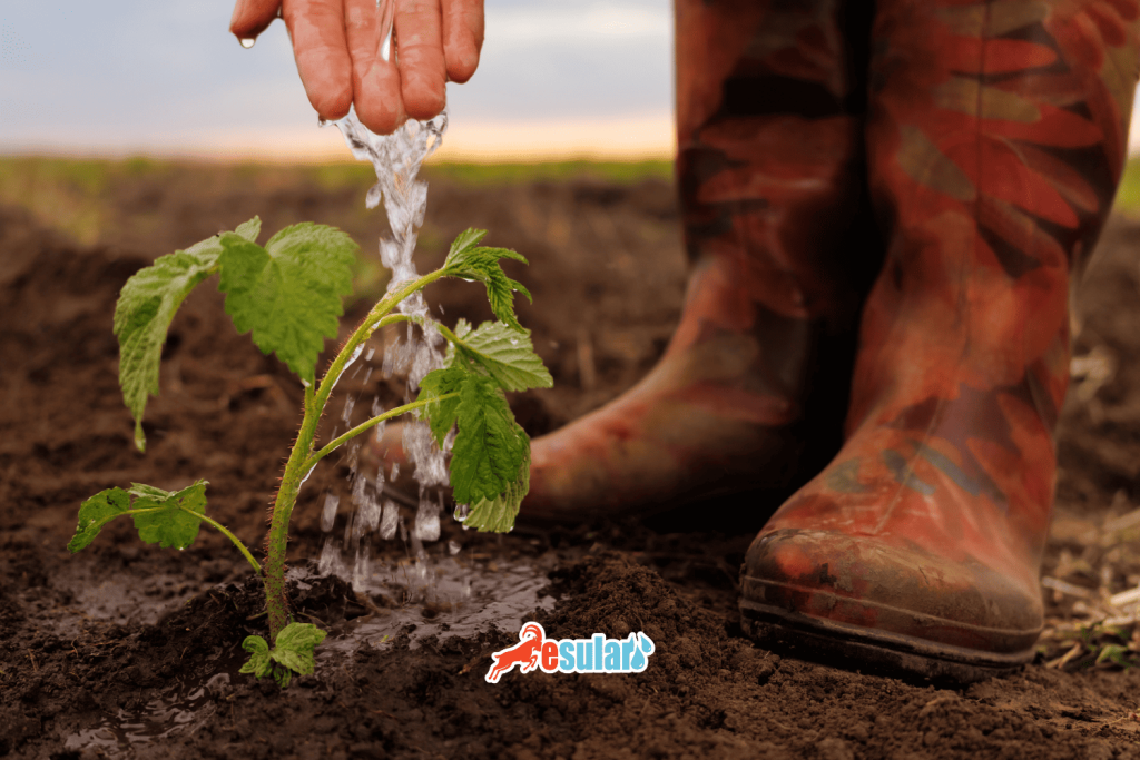 suyun-dielektrik-gecirgenligi-esular