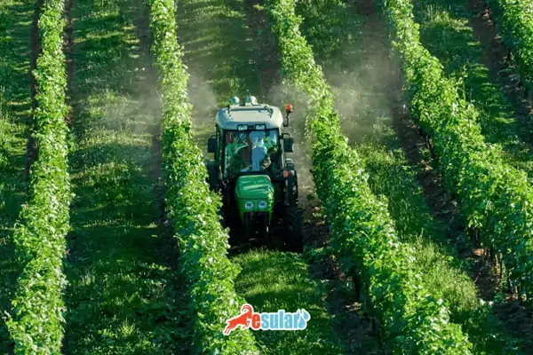 wie man flüssigen Schwefel ausbringt