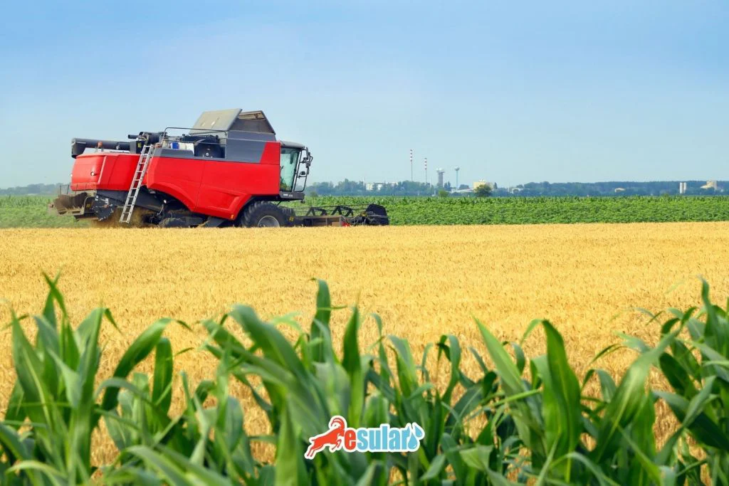 tarim-da-hollanda-mucizesi