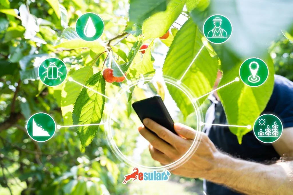 data-analysis-in-agriculture