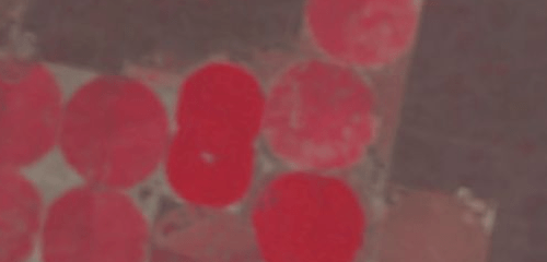 tarımda-ndvı-örnegi