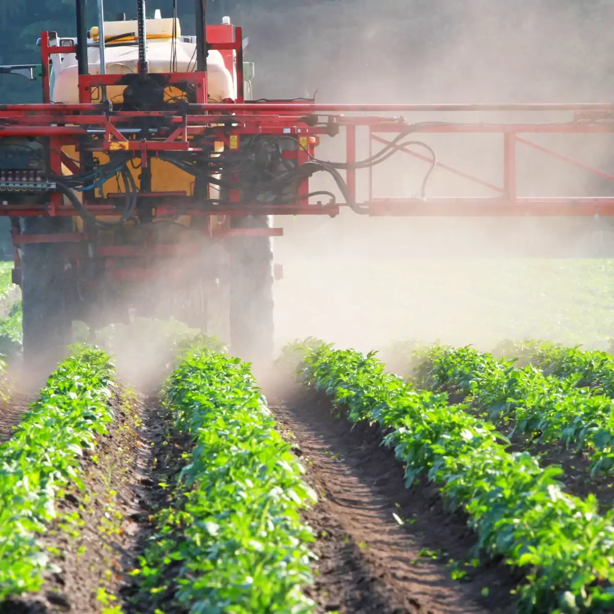 Tarımsal üretimde verimlilik ve gıda arzı