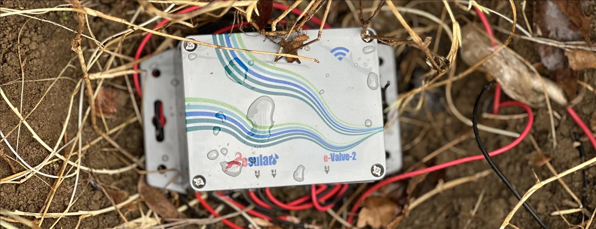 AI-powered irrigation system provides increased yield and energy savings