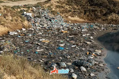 Toprak Kirliliği Nedir?
