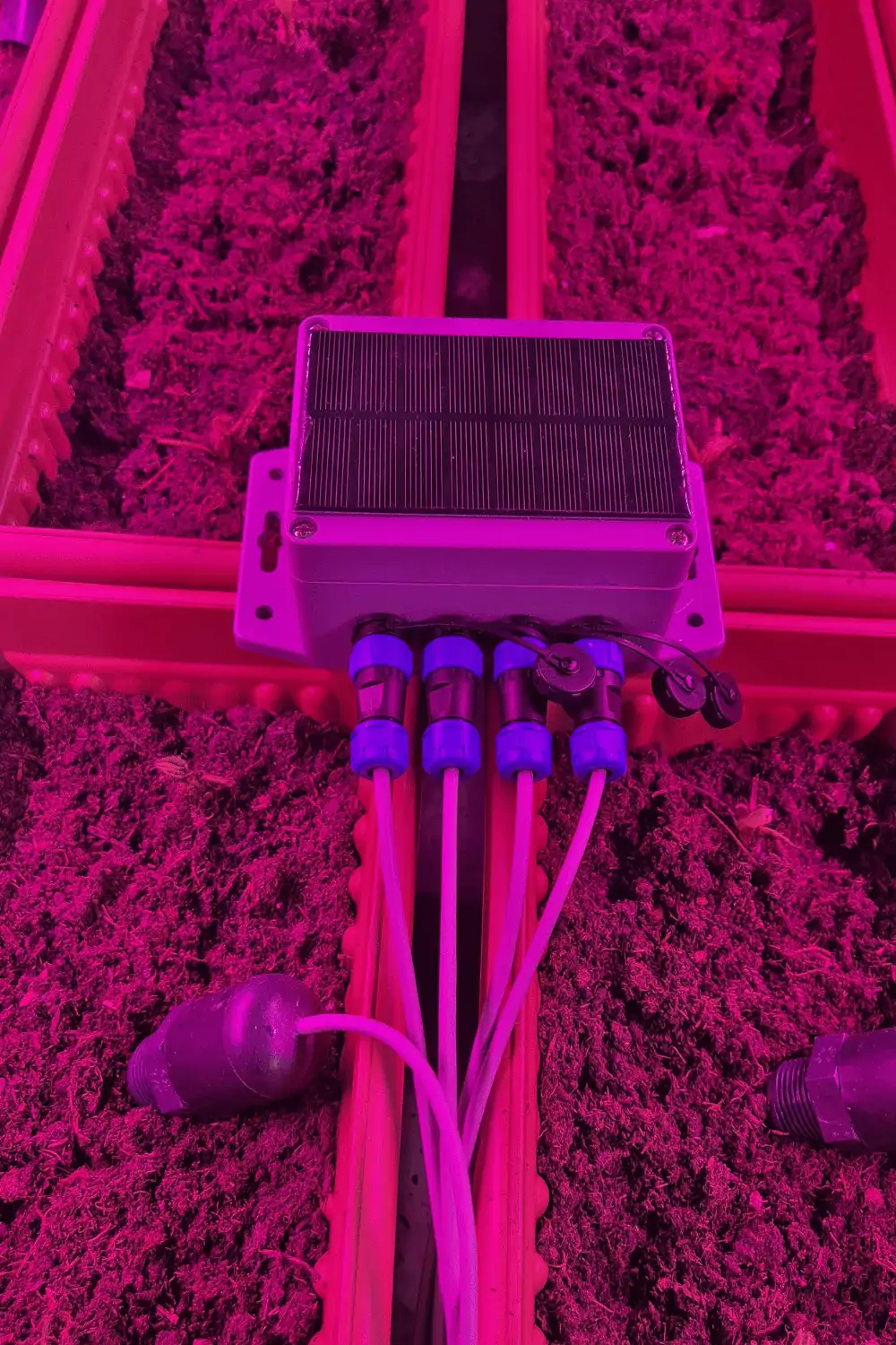 Sera Saksı Toprak Nem Ölçümü