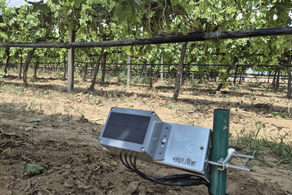 toprak-nem-sensoru-nedir-esular