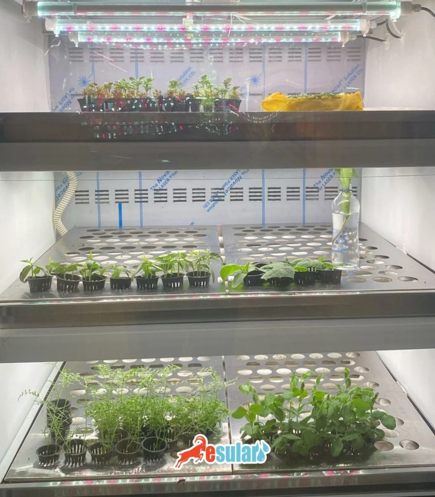 topraksiz-tarim-nasil-yapilir