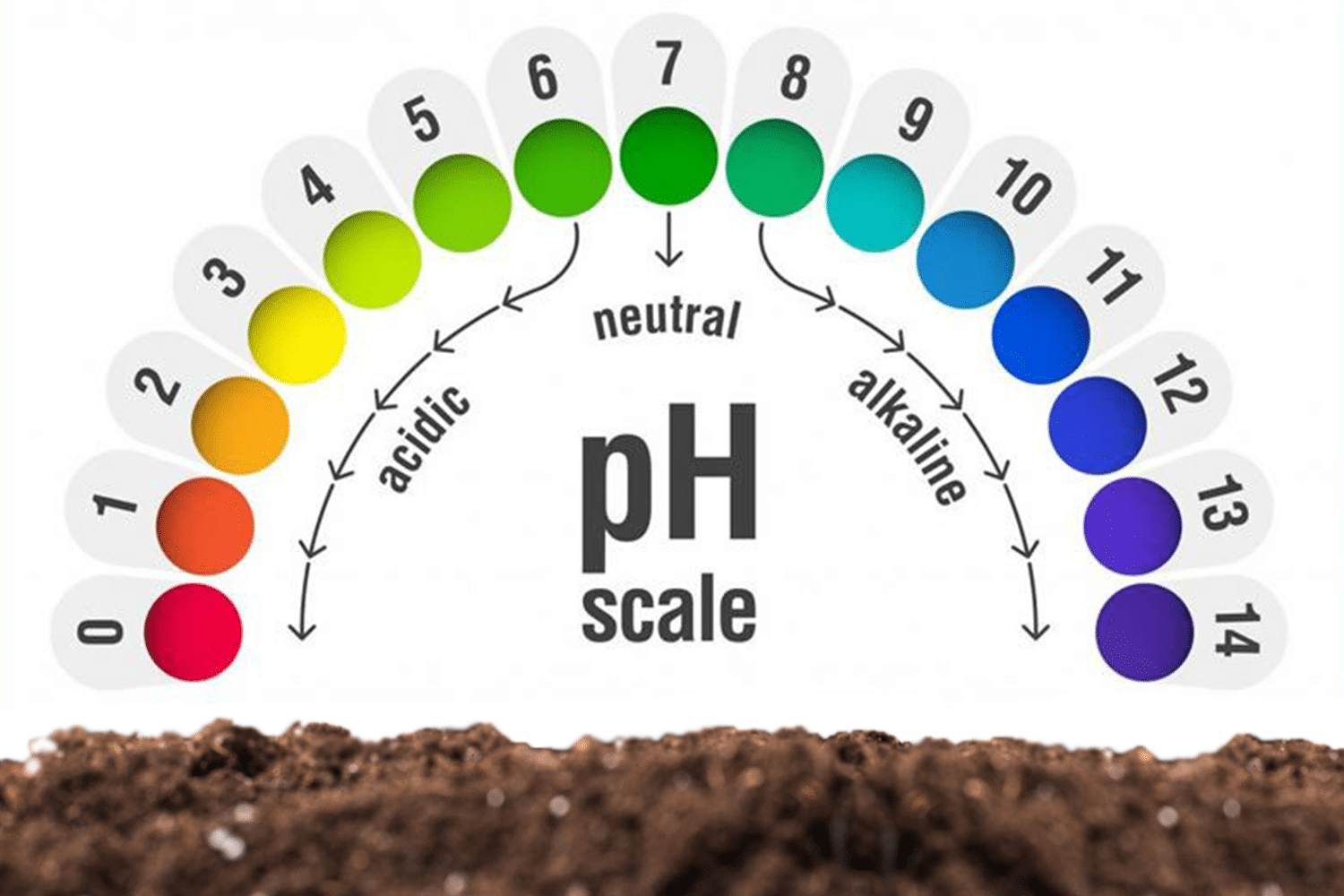 Regulation of Soil PH Levels