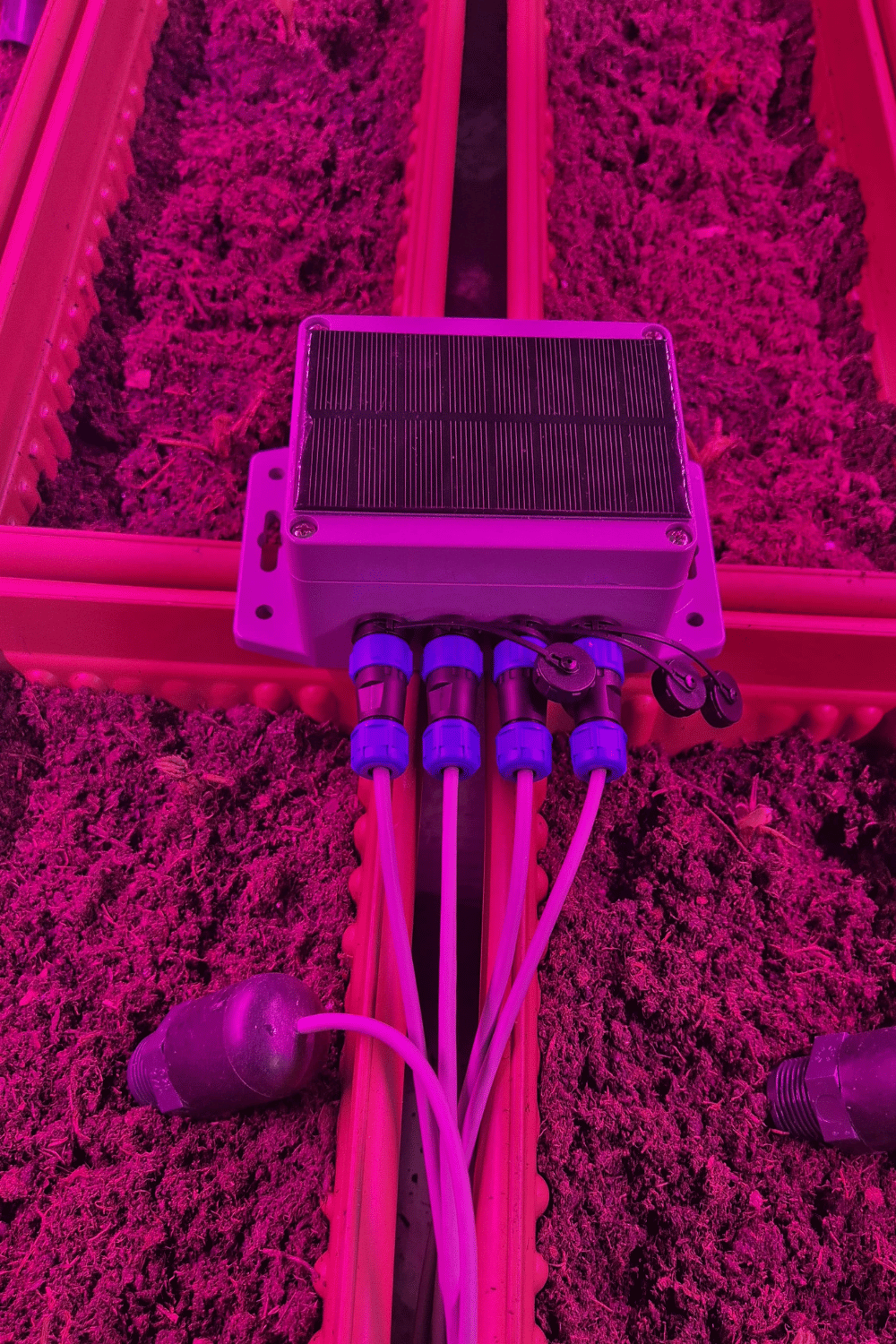 İstixana Dibçək Torpaq Nəmi Ölçülməsi