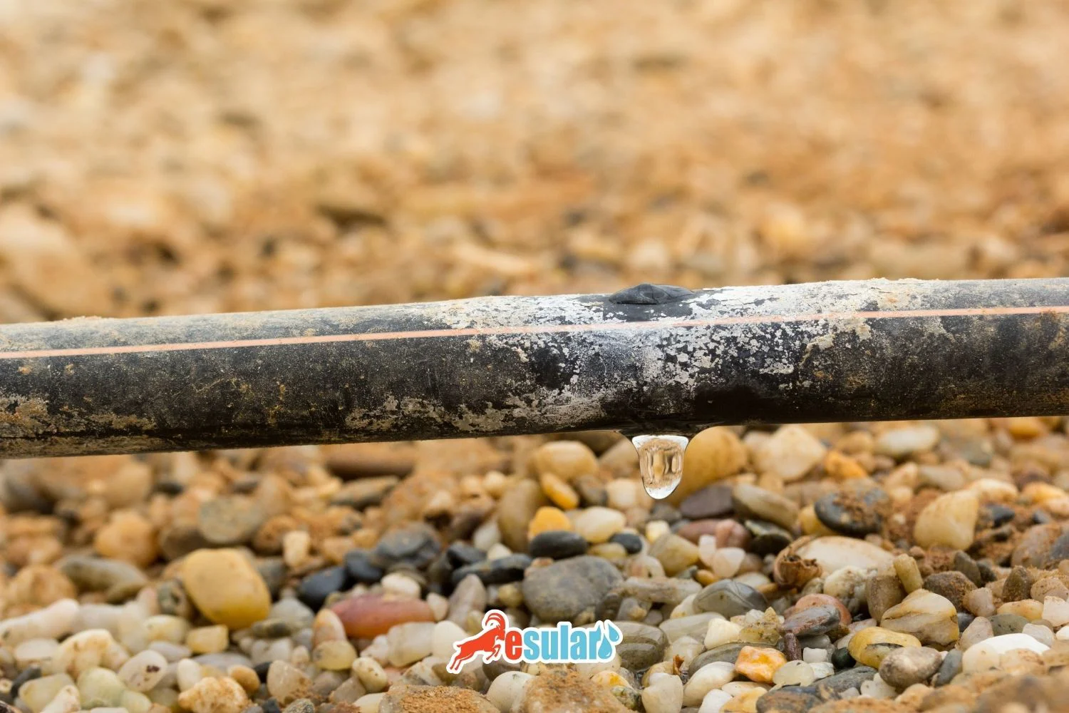 Wasserfiltrierung mit Umkehrosmose-Systemen in der landwirtschaftlichen Bewässerung