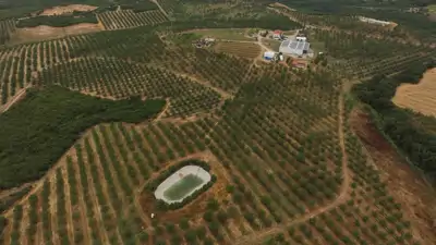 Yapay zeka destekli sulama sistemi verimde artış, enerjiden tasarruf sağlıyor