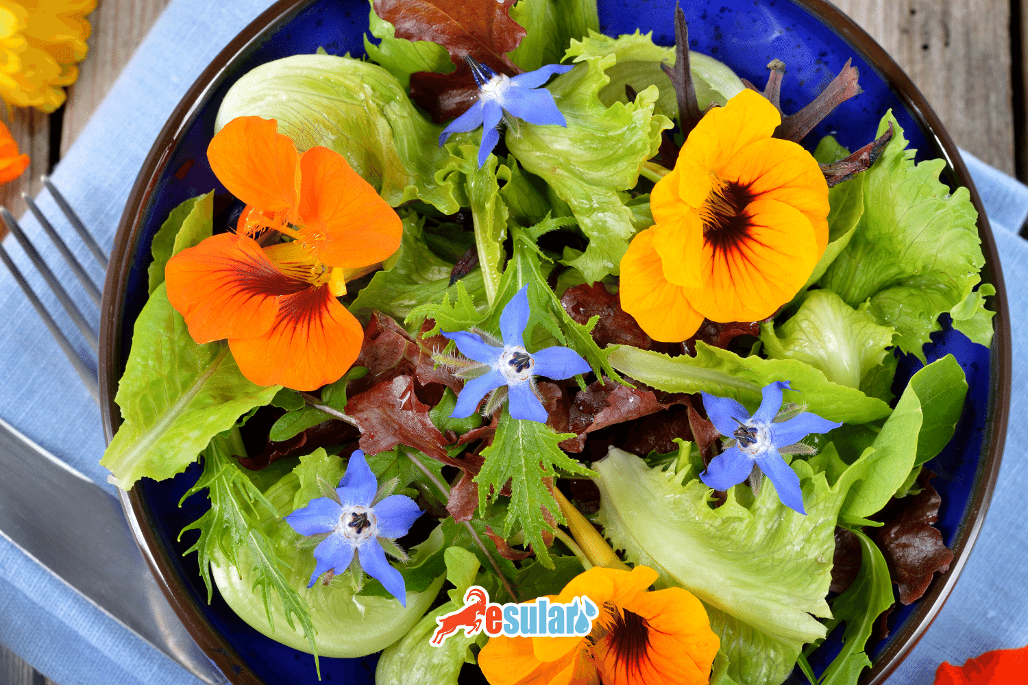 How is Aspirin Used in Plants?