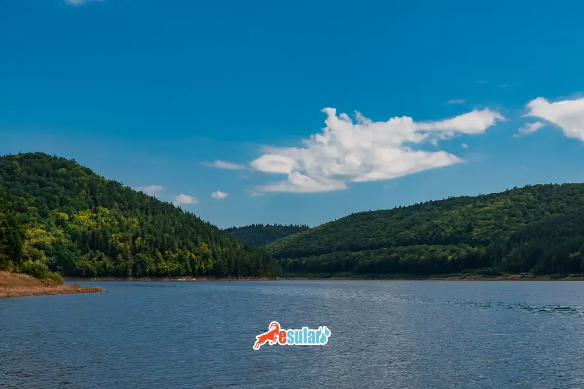 Ulusal Su Planı (2026-2035): Türkiye'nin Su Yönetimi ve Tarımsal Gelecek Rehberi