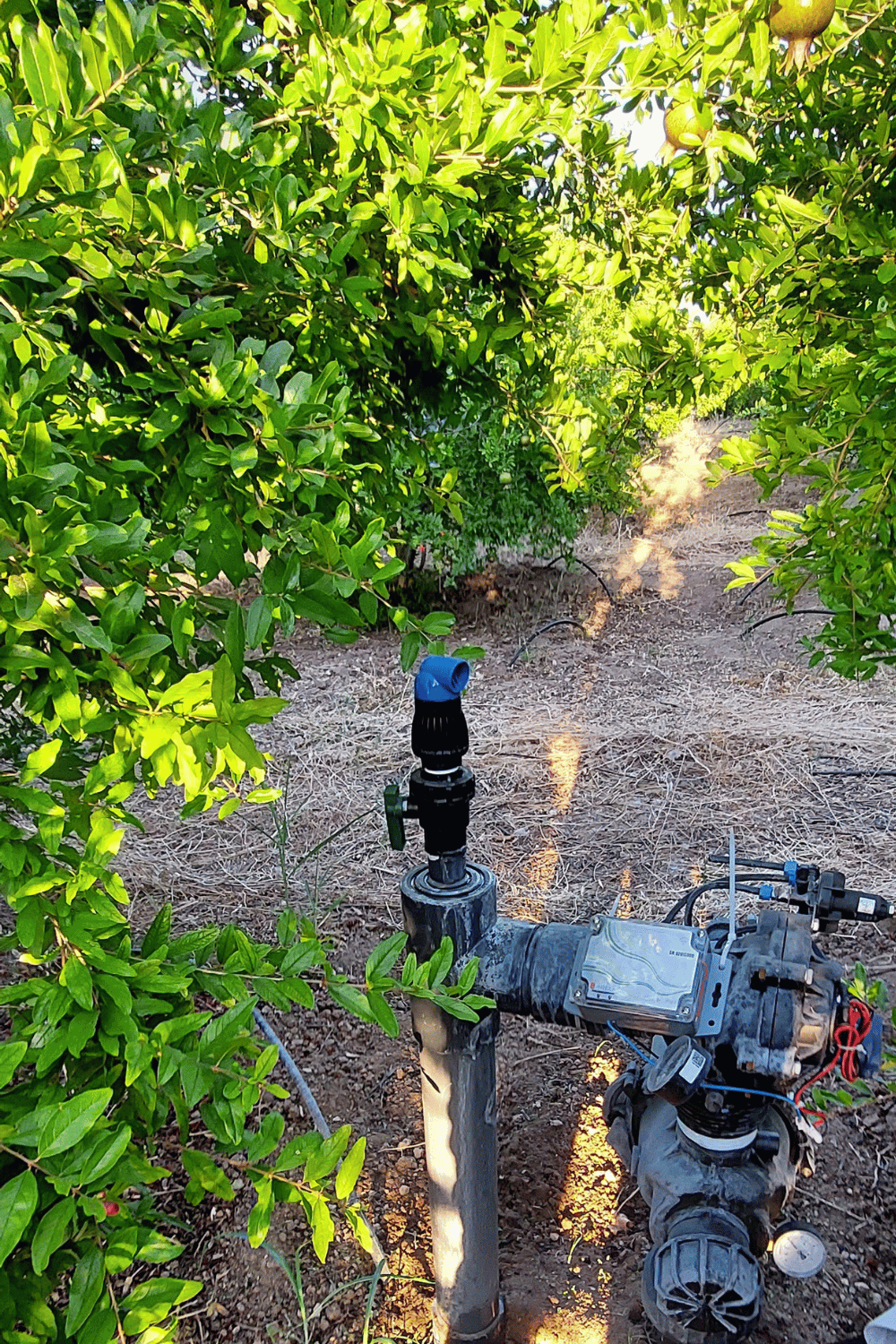 Unidad de Control de Válvula Inteligente