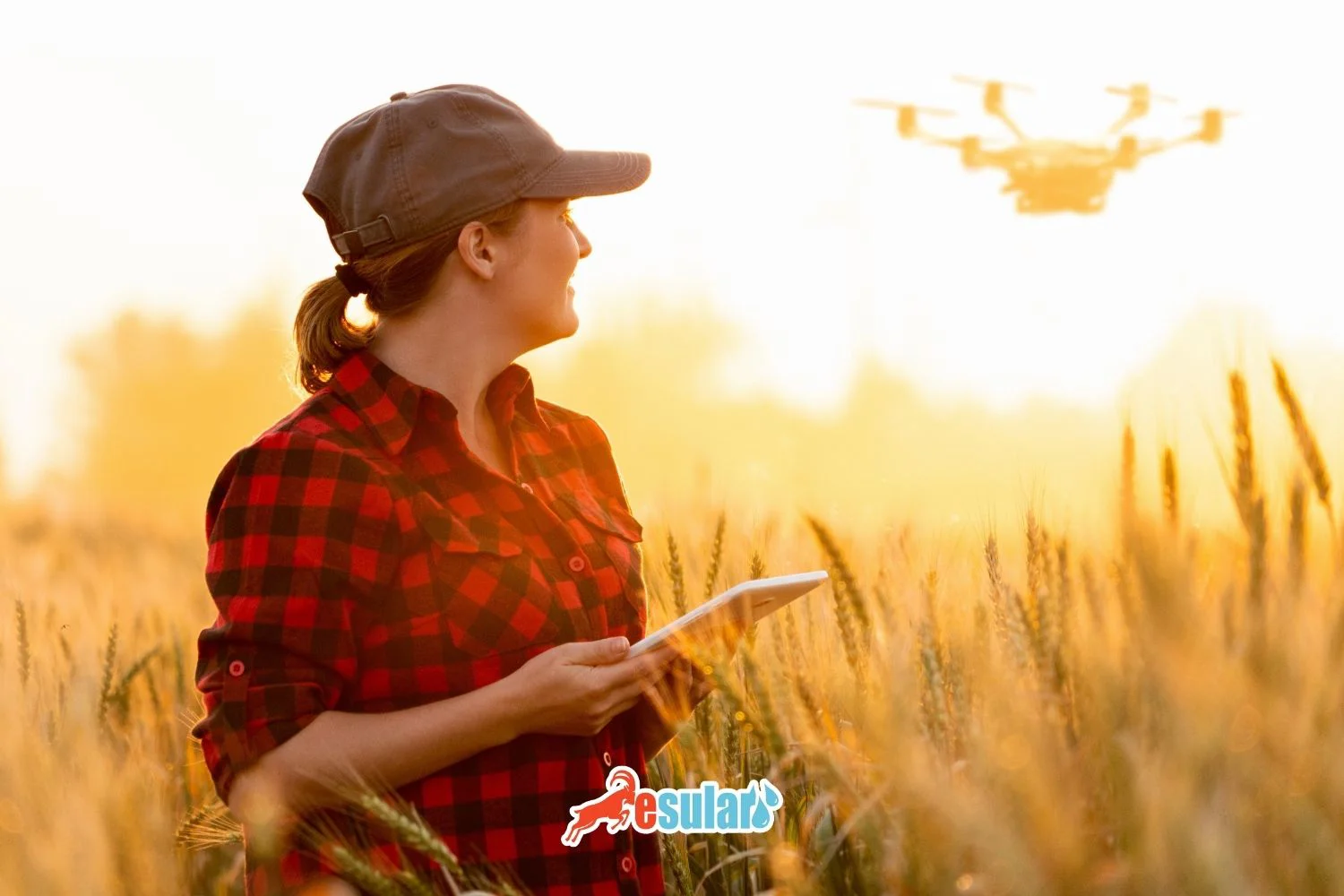Uso de Drones en la Agricultura