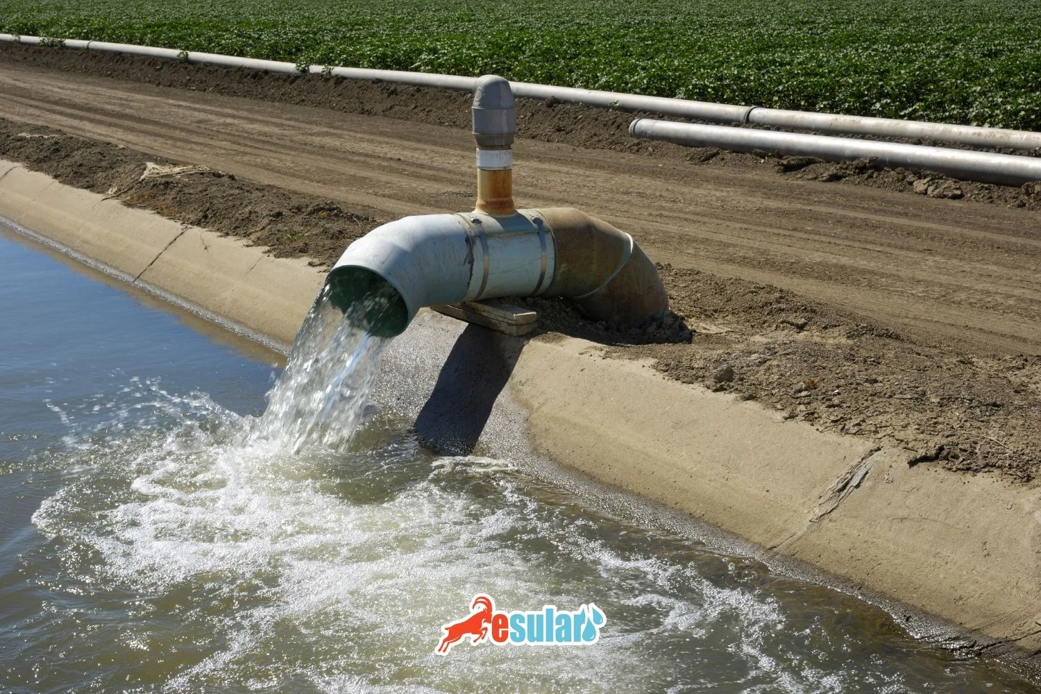 有多少种灌溉方法？