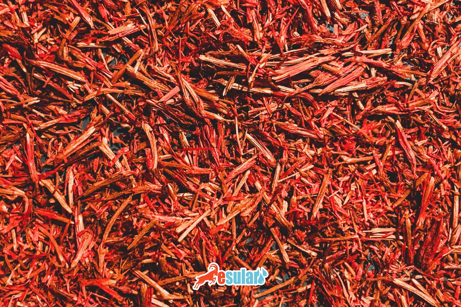 Использование датчиков влажности почвы в выращивании шафрана: увеличение урожайности на 40% | esular