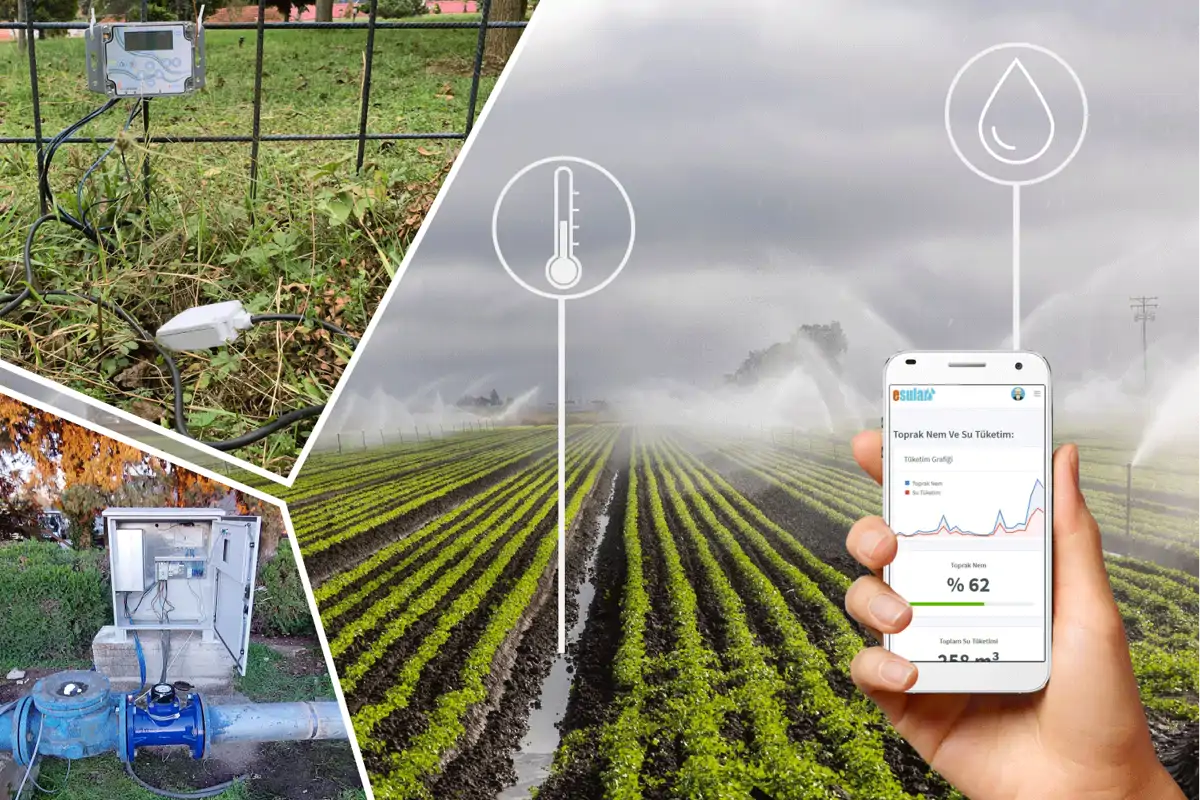 Patates Yetiştiriciliğinde Akıllı Sulama