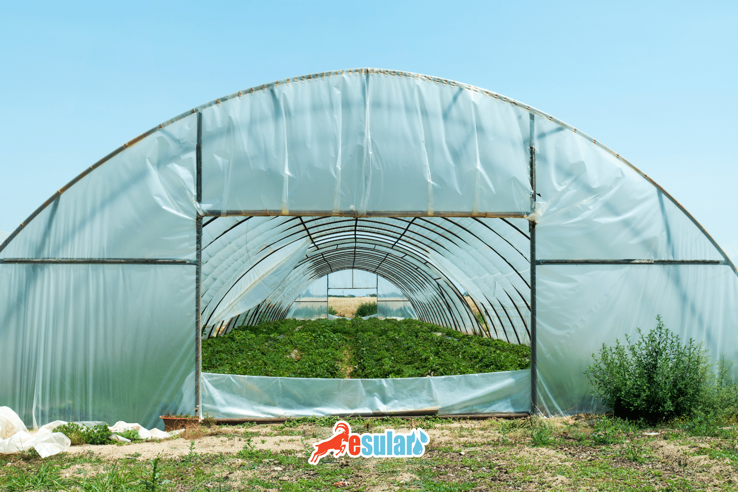 What is a Greenhouse?, What is Greenhouse Cultivation?