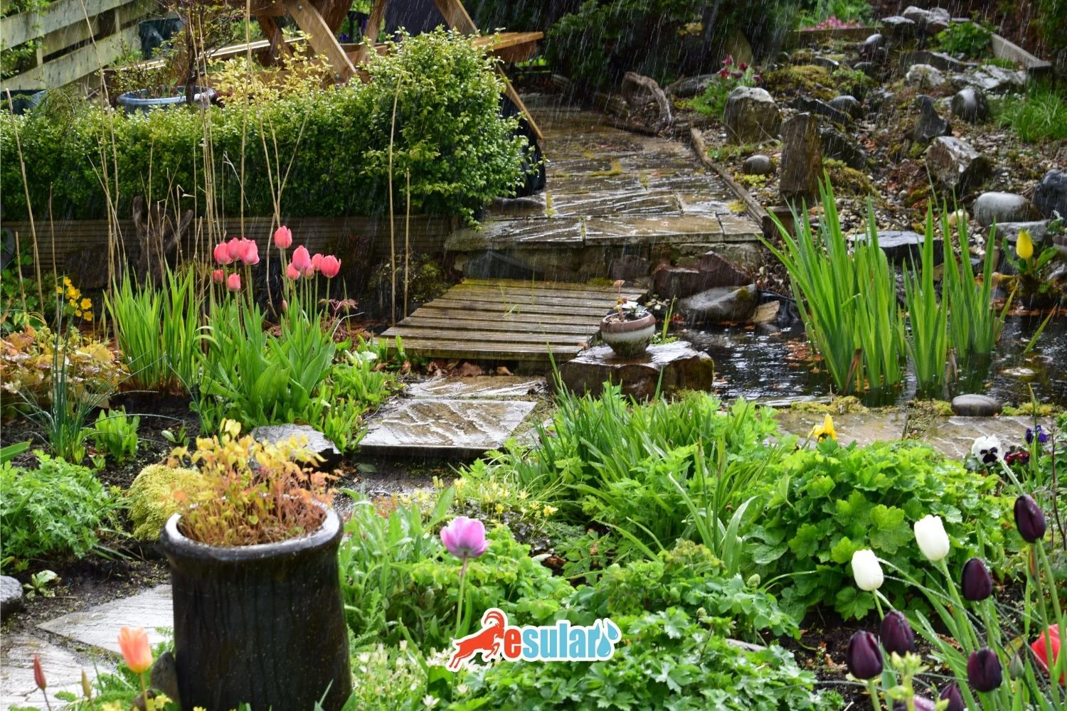 What is a Rain Garden? Rainwater Management