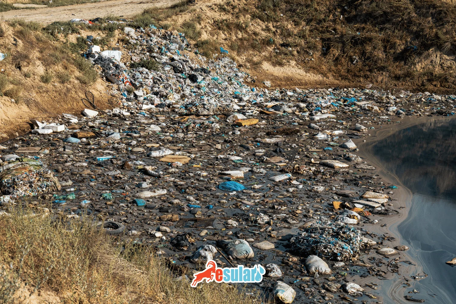 What is Soil Pollution?