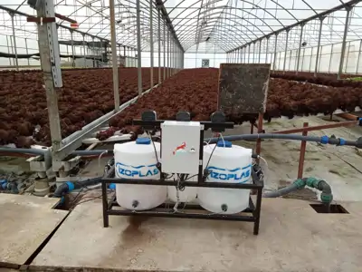 Topraksız Tarım Akıllı Sera