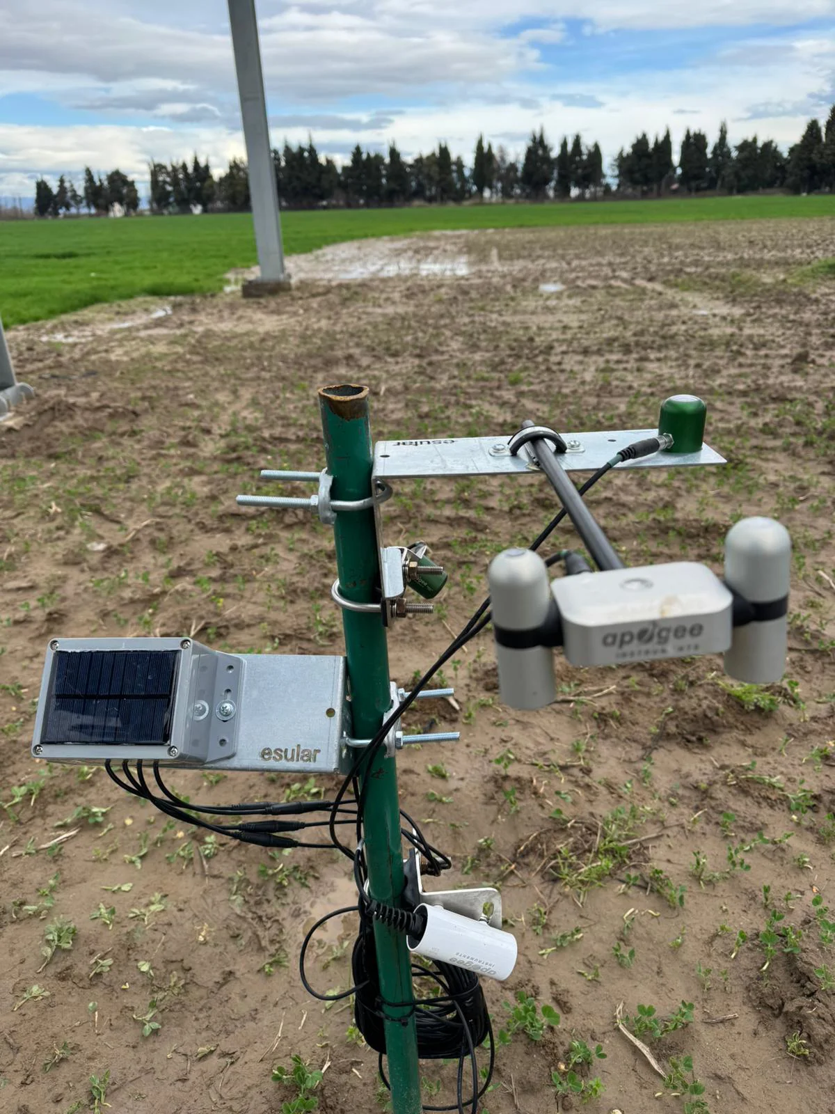 A New Era in Agriculture: Strategic Cooperation of Sun and Soil in Bursa