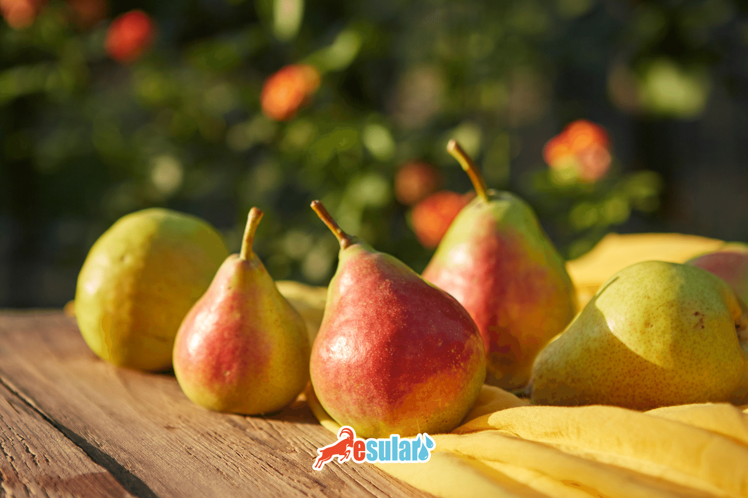 Smart Irrigation Solutions for Pears
