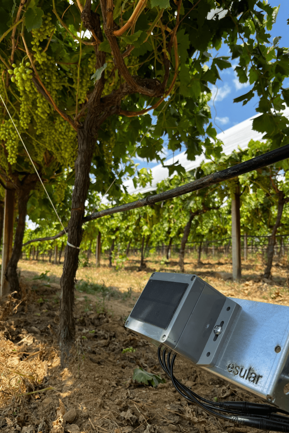 Wireless Battery-Powered Soil Moisture Sensor
