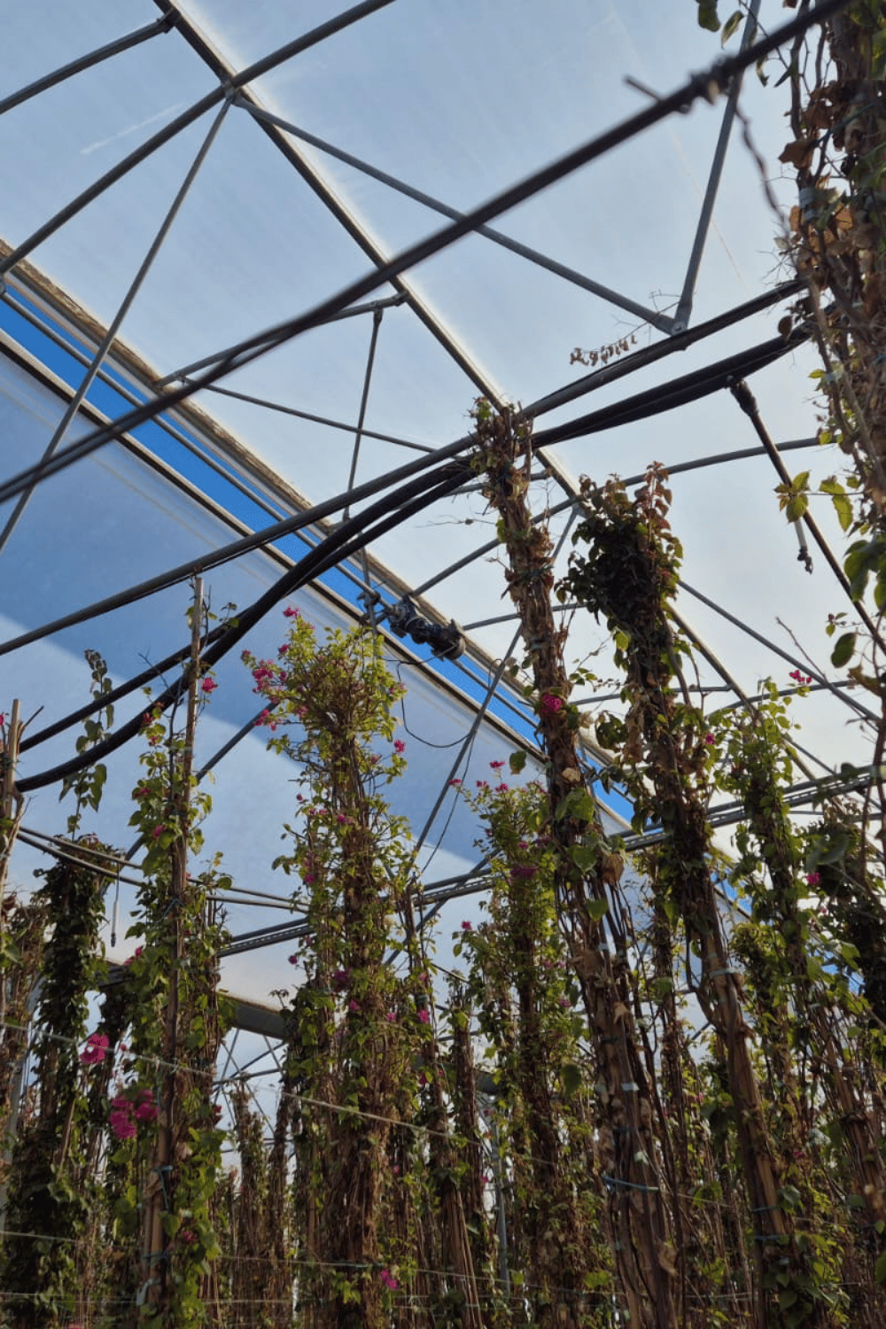 Smart Greenhouse Window Control Panel
