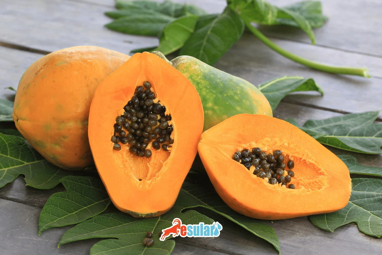 Wie wird Papaya-Anbau betrieben?