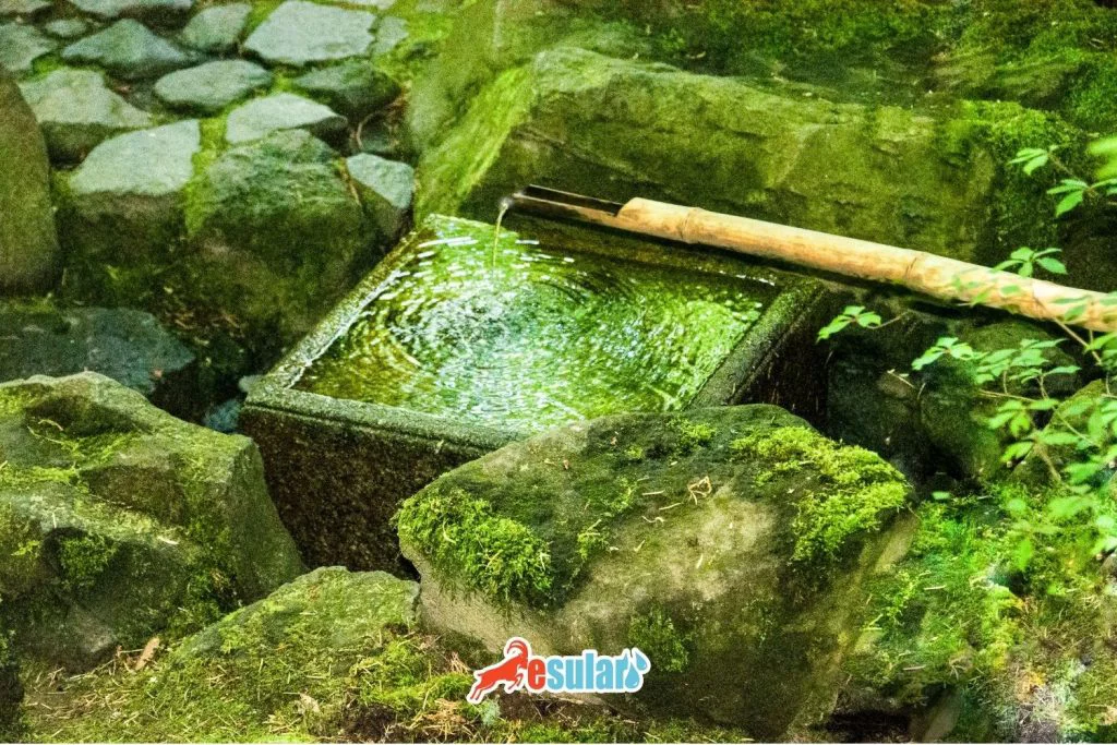 yagmur-bahcelerinin-faydalari