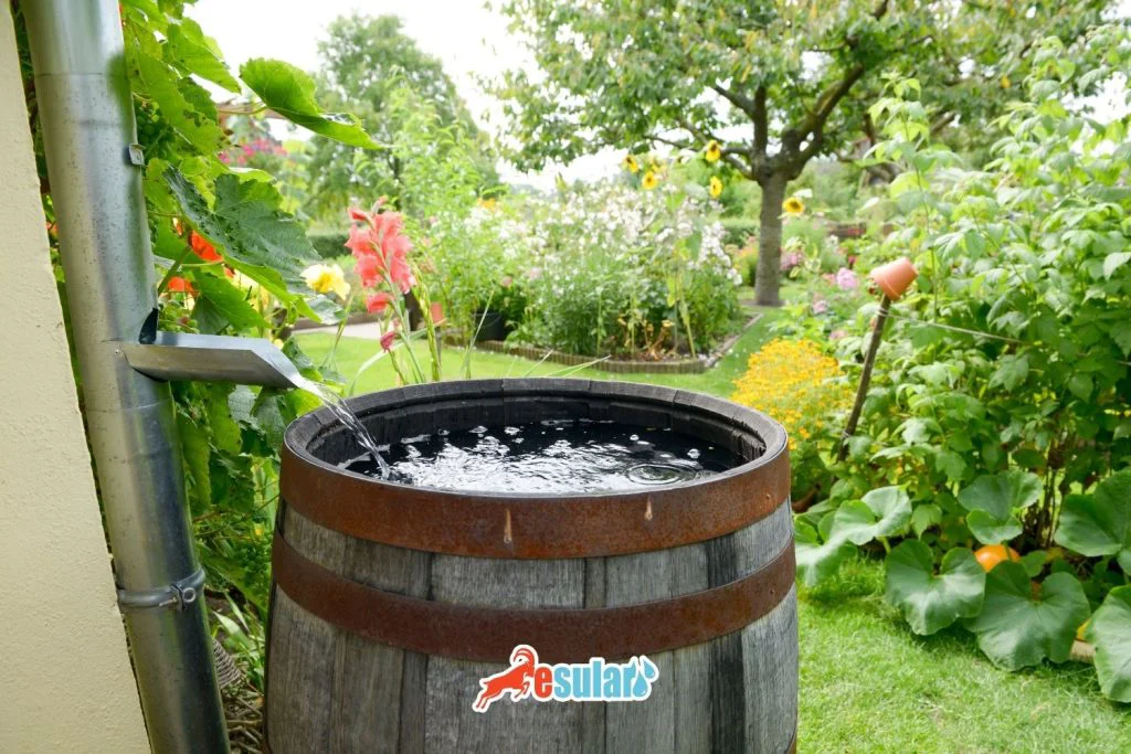 yagmur-bahcesi-nedir